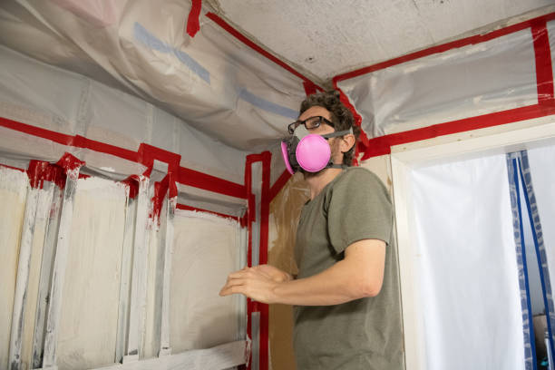 Best Mold Odor Removal Services  in Martinsburg, WV